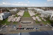 The Capitol Mall, stretching North from the Capitol building. (Michael Lloyd/The Oregonian)