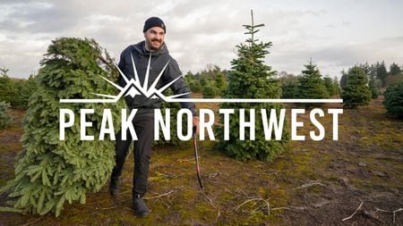 How to cut down your own Christmas tree in Oregon: Peak Northwest podcast